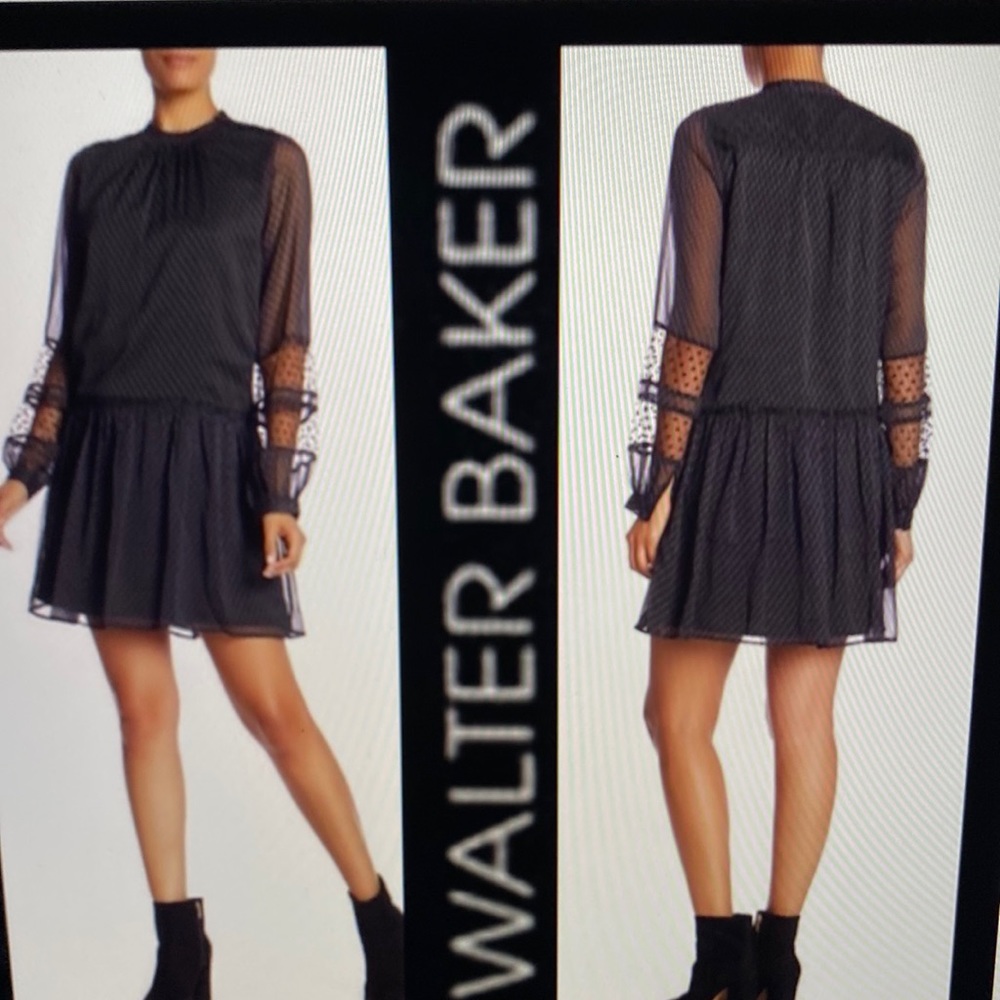 Walter Baker Emily Georgette Dress. Sheer, black Polka Dot Dress. Sz XS